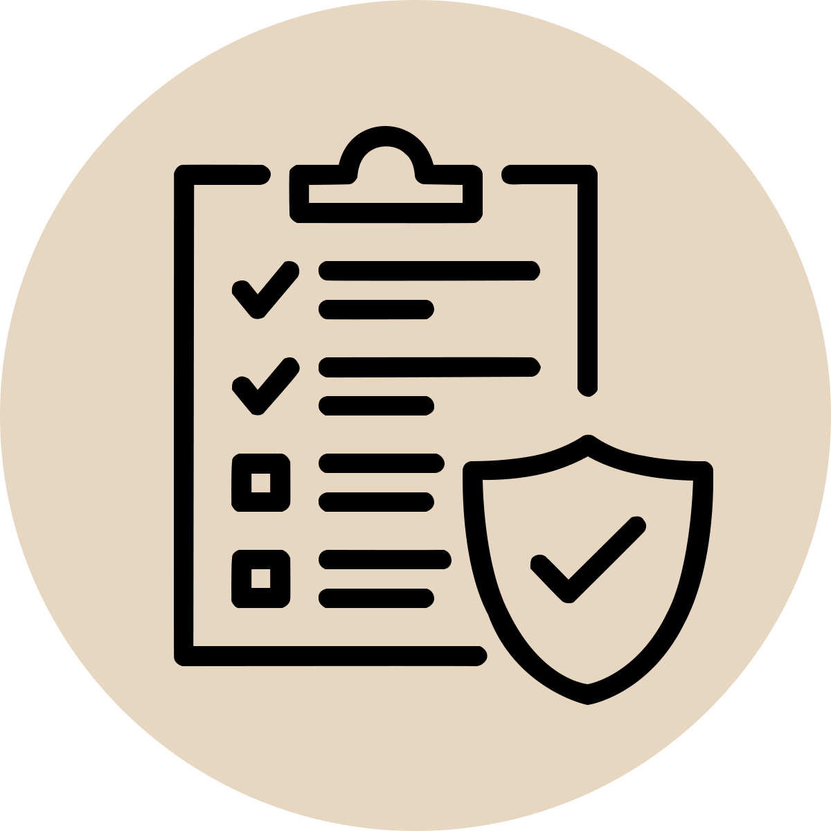 Compliance Icon